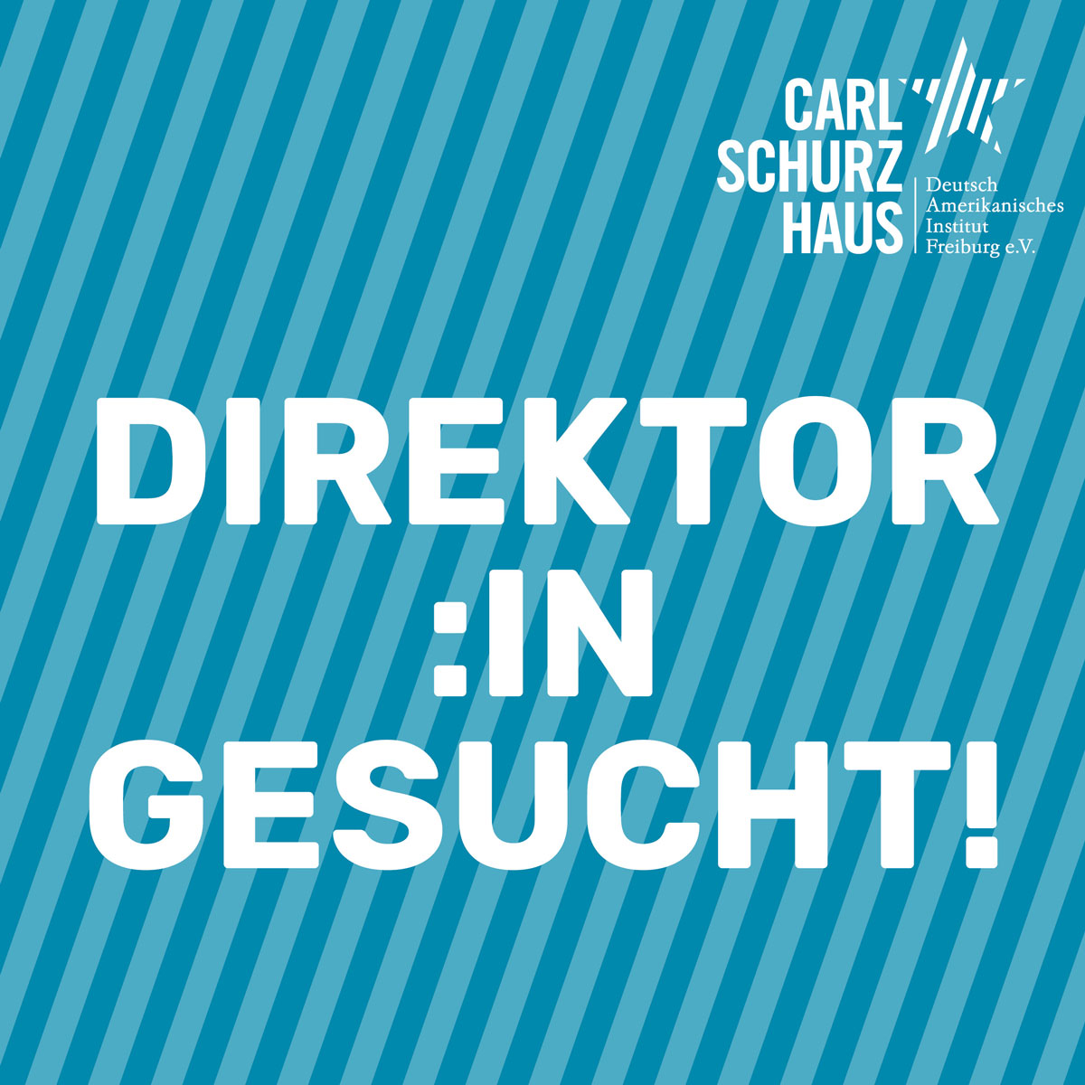 Direktor:in gesucht!